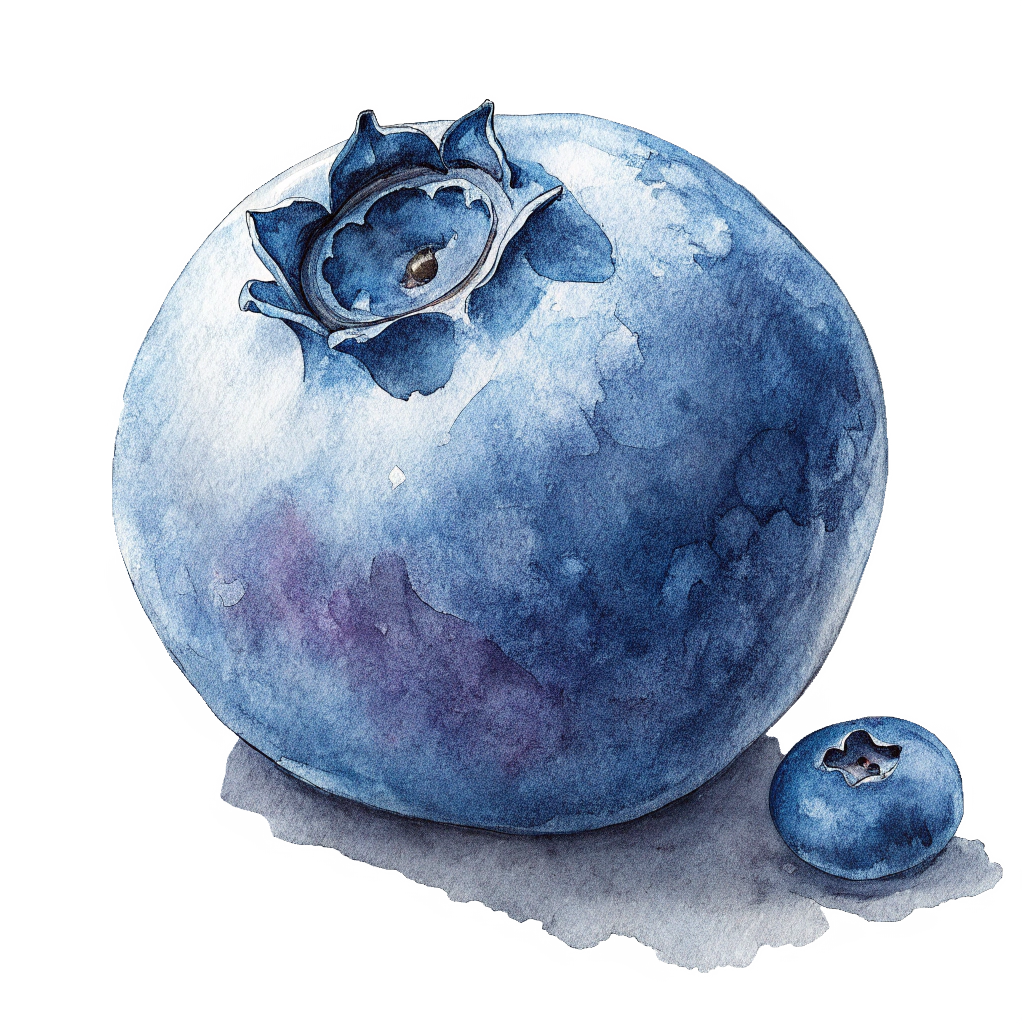 blueberry