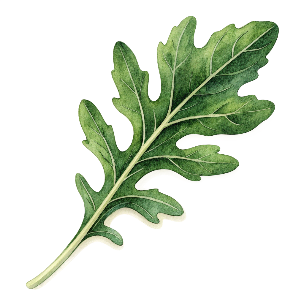 arugula